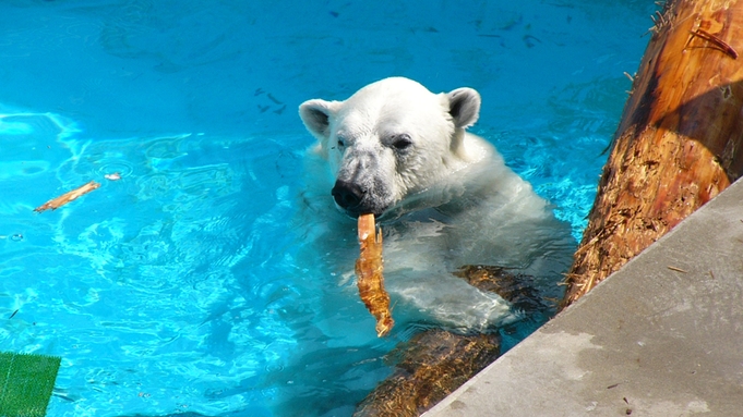 [GW限定プラン]男鹿水族館GAO＆なまはげ和太鼓ショーを満喫♪もちろん名物石焼付！